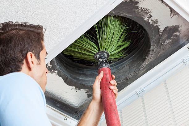 Best Home Air Vent Cleaning  in Cahokia, IL